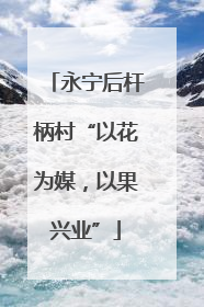 永宁后杆柄村“以花为媒，以果兴业”