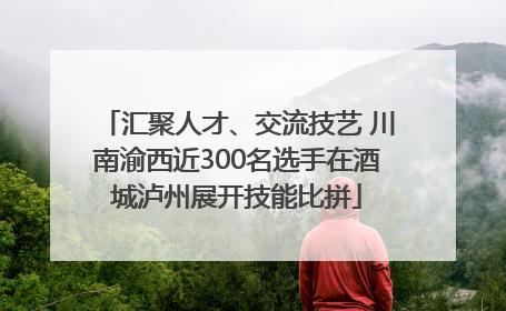 汇聚人才、交流技艺 川南渝西近300名选手在酒城泸州展开技能比拼