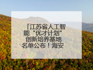 江苏省人工智能“优才计划” 创新培养基地名单公布！海安高级中学入选