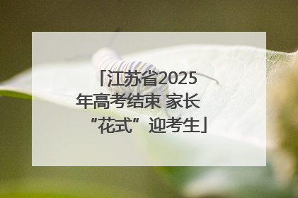江苏省2025年高考结束 家长“花式”迎考生
