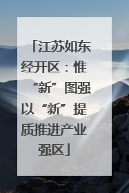 江苏如东经开区：惟“新”图强以“新”提质推进产业强区