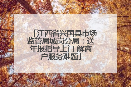 江西省兴国县市场监管局城岗分局：送年报指导上门 解商户服务难题
