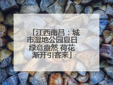 江西南昌：城市湿地公园夏日绿意盎然 荷花渐开引客来