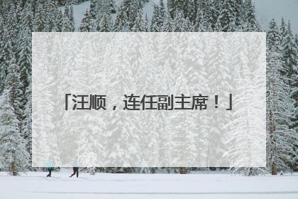 汪顺，连任副主席！