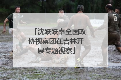 沈跃跃率全国政协视察团在吉林开展专题视察
