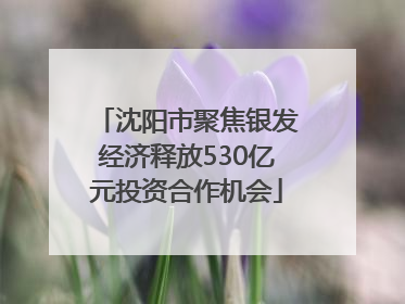 沈阳市聚焦银发经济释放530亿元投资合作机会