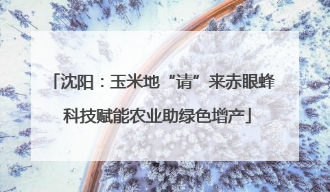 沈阳：玉米地“请”来赤眼蜂 科技赋能农业助绿色增产