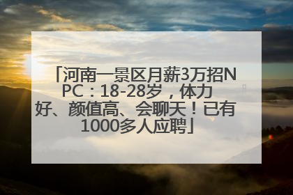 河南一景区月薪3万招NPC：18-28岁，体力好、颜值高、会聊天！已有1000多人应聘