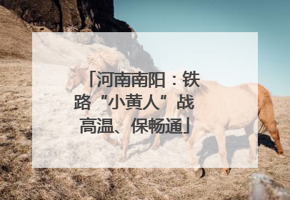 河南南阳：铁路“小黄人”战高温、保畅通