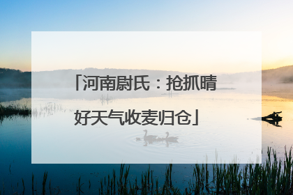 河南尉氏：抢抓晴好天气收麦归仓