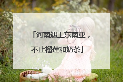 河南遇上东南亚，不止榴莲和奶茶