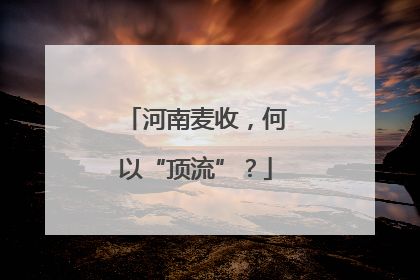 河南麦收，何以“顶流”？