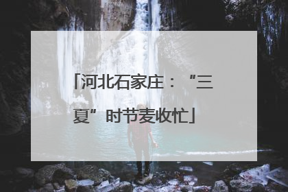 河北石家庄：“三夏”时节麦收忙