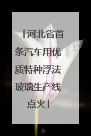 河北省首条汽车用优质特种浮法玻璃生产线点火
