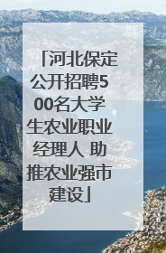 河北保定公开招聘500名大学生农业职业经理人 助推农业强市建设