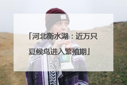 河北衡水湖：近万只夏候鸟进入繁殖期