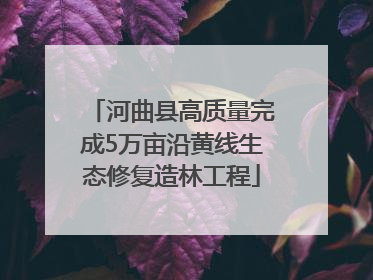 河曲县高质量完成5万亩沿黄线生态修复造林工程