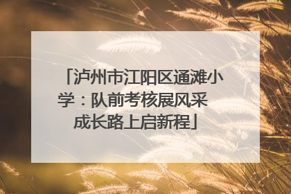 泸州市江阳区通滩小学：队前考核展风采 成长路上启新程