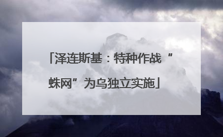 泽连斯基：特种作战“蛛网”为乌独立实施