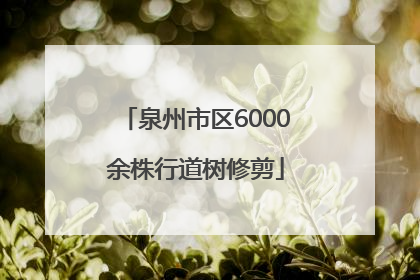 泉州市区6000余株行道树修剪