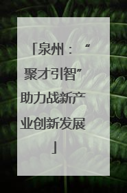 泉州：“聚才引智”助力战新产业创新发展