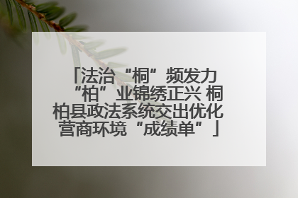 法治“桐”频发力 “柏”业锦绣正兴 桐柏县政法系统交出优化营商环境“成绩单”