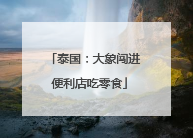 泰国：大象闯进便利店吃零食