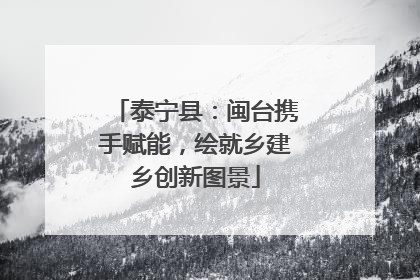 泰宁县：闽台携手赋能，绘就乡建乡创新图景