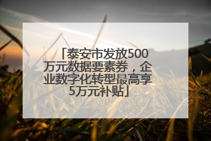 泰安市发放500万元数据要素券，企业数字化转型最高享5万元补贴