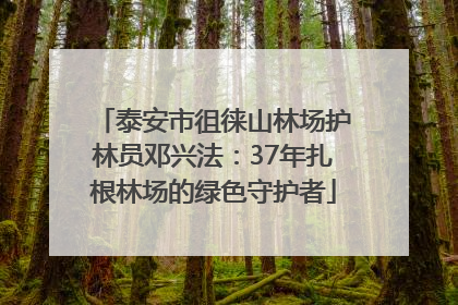 泰安市徂徕山林场护林员邓兴法：37年扎根林场的绿色守护者