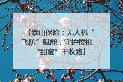 泰山保险：无人机“飞防”赋能，守护樱桃“甜蜜”丰收路