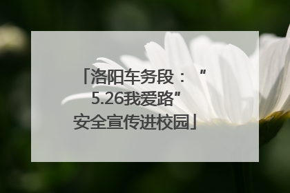 洛阳车务段：“5.26我爱路”安全宣传进校园