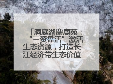 洞庭湖麋鹿苑：“三资盘活”激活生态资源，打造长江经济带生态价值转化新标杆