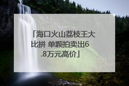 海口火山荔枝王大比拼 单颗拍卖出6.8万元高价