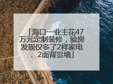 海口一业主花47万元定制装修，验房发现仅多了2样家电、2面背景墙