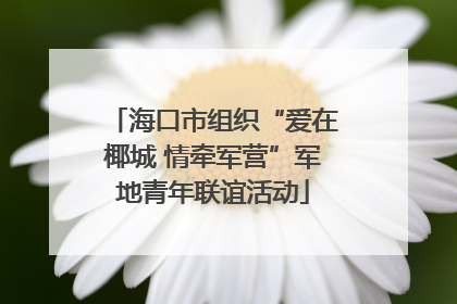 海口市组织“爱在椰城 情牵军营”军地青年联谊活动