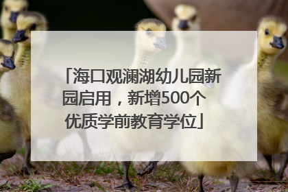 海口观澜湖幼儿园新园启用，新增500个优质学前教育学位