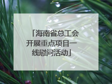 海南省总工会开展重点项目一线慰问活动