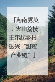 海南秀英：火山荔枝王串起乡村振兴“甜蜜产业链”