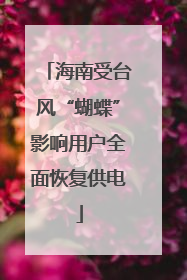 海南受台风“蝴蝶”影响用户全面恢复供电