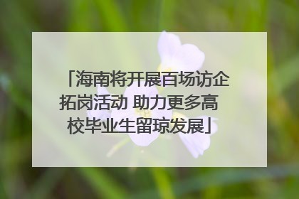 海南将开展百场访企拓岗活动 助力更多高校毕业生留琼发展