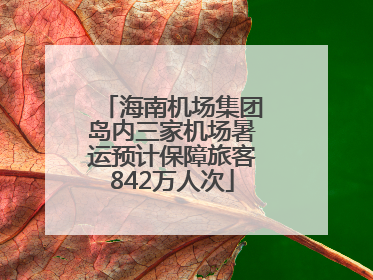 海南机场集团岛内三家机场暑运预计保障旅客842万人次