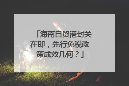 海南自贸港封关在即，先行免税政策成效几何？