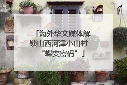 海外华文媒体解锁山西河津小山村“蝶变密码”