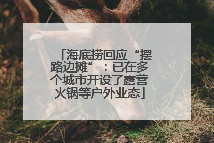海底捞回应“摆路边摊”：已在多个城市开设了露营火锅等户外业态