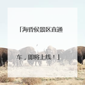 海昏侯景区直通车，即将上线！