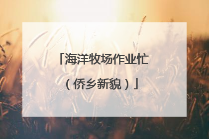 海洋牧场作业忙（侨乡新貌）