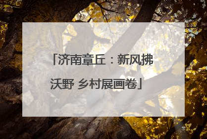 济南章丘：新风拂沃野 乡村展画卷