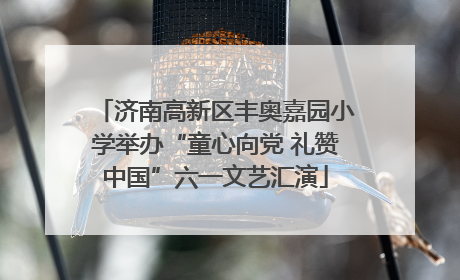 济南高新区丰奥嘉园小学举办“童心向党 礼赞中国”六一文艺汇演