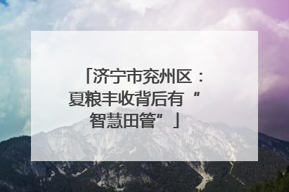 济宁市兖州区：夏粮丰收背后有“智慧田管”